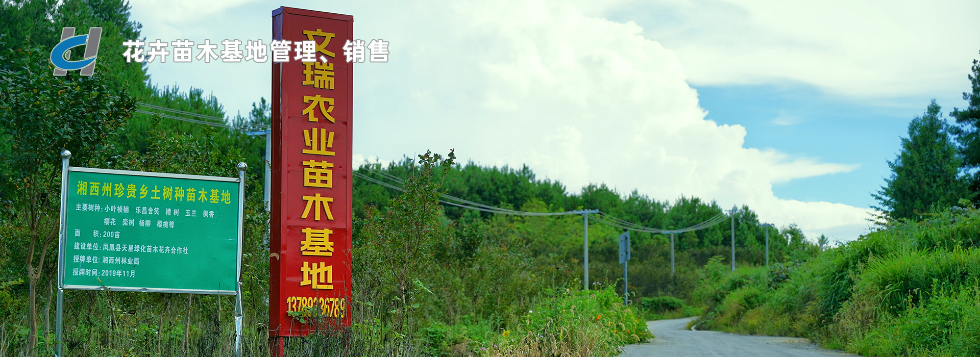 花卉苗木基地管理、销售